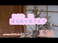 【 愛染橋を渡ります 】  美川憲一 /  Cover : 西川三男