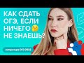 Как сдать ОГЭ, если ничего не знаешь? | ОГЭ ЛИТЕРАТУРА 2022 | СОТКА