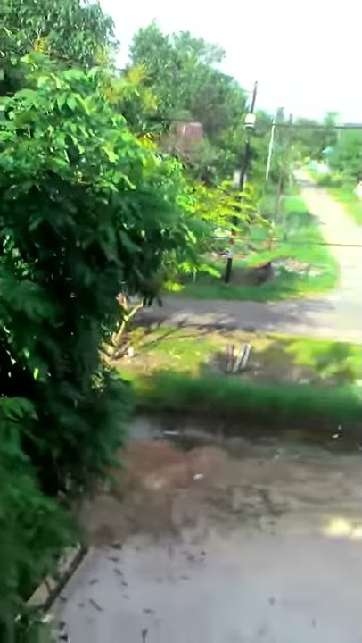 dibantai teman sendiri