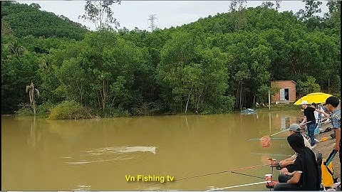 Hồ Câu Cá Bán tự nhiên ở Bình định, Hồ Câu cá Diêu Hồng, Cá Mè Rô Phi - Vn Fishing Tv