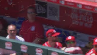 Bees delay Giants-Reds baseball game