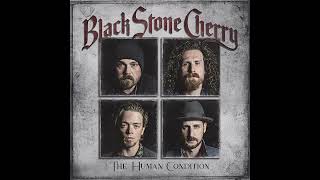 Black Stone Cherry-Give Me One Reason (Tracy Chapman) (Audio)