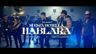 Si Esta Botella Hablara Instrumental - Edgardo Nuñez X Gabito Ballesteros