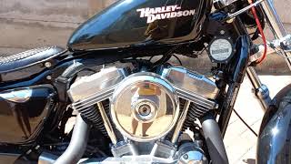 My new willie g parts and future upgrades for the sportster