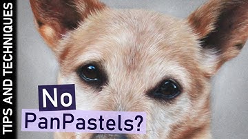 How to draw short, light coloured fur with pastel pencils | Jack Russell drawing