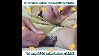 ##shorts #the pet tries to suck my breast..#but it's very ticklish