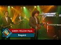 Bagani Green Yellow Pula