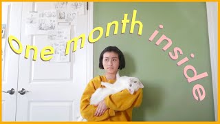 Life Among the House Cats: The Sequel • Family life in Quarantine • VLOG