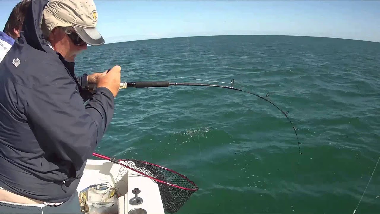 2023 Hamachi Nano Xylimum Jig PE 2 - 5 Japanese Rod Braid Fishing 20 50 LB O/H | Australia - Foto 6