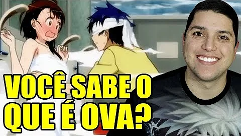 Qual a diferença entre OVA e anime?