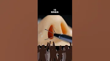 くしゃみが出たら負け 絶対くしゃみが出るランキング ASMR 