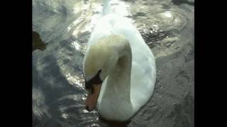 Download Lagu Jarullo  -04-  So Far Away (Valium Dependency mix) MP3