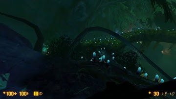 Blackmesa Xen map bug