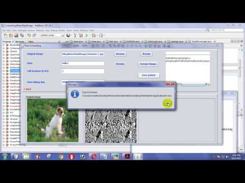 Watermarking Algorithm for Authentication and Self-Recovery of Tampered Images Using DWT