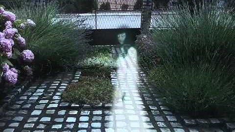 FxGuru-Ghost Bride Effect