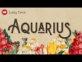 AQUARIUS SINGLES 🧡 U'RE DESTINED TO MEET THIS SOULMATE! THEY'RE OPEN TO THIS NEW BEGINNING🙏