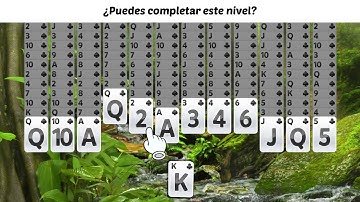 ES_sunday_zen_rainforest_1920x1080