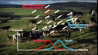 A Probabilistic Model of Visual Saliency for Video Content