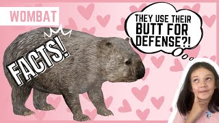 WOMBAT | Animal Fun Facts | (For Kids)