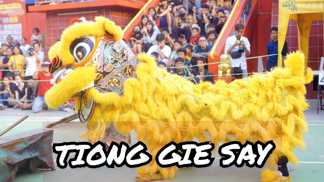 PERSAUDARAAN TIONG GIE SAY 8.26 | FESTIVAL BARONGSAI TRADISIONAL KWAN TEK BIO