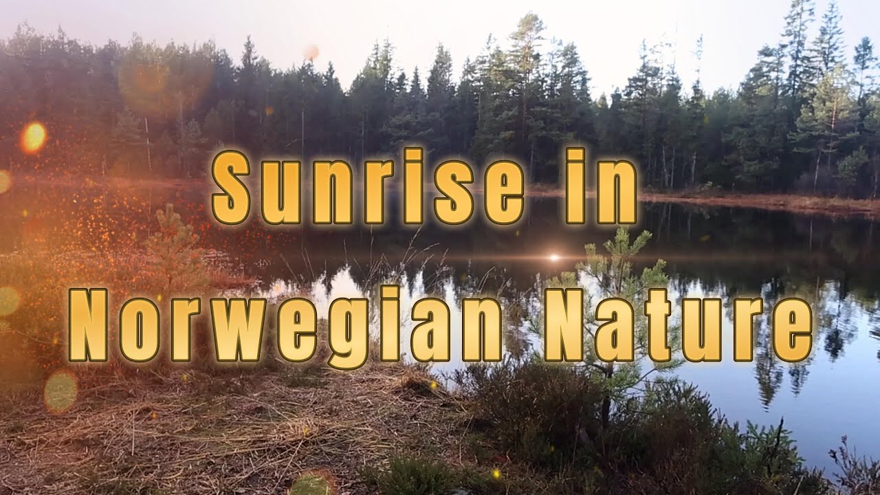 Sunrise in Norwegian Nature. Calm Instrumental Music 🌲🌅