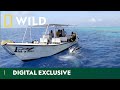 The Warriors Protecting Our Oceans | Wild Waters | National Geographic WILD UK