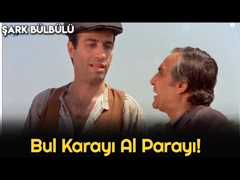 Şark Bülbülü - Bul Karayı Al Parayı!