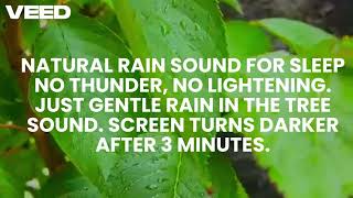 Natural Rain Sound For A Good Sleep. Recorded Live! Not AI Generated screenshot 5