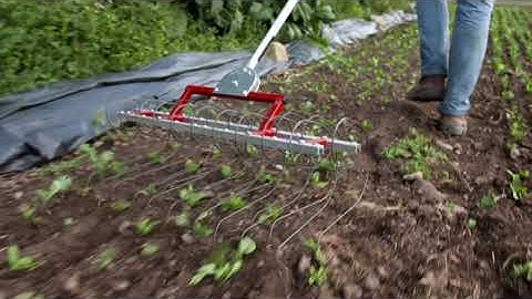 The Two Bad Cats Tine Weeder | Dubois Agrinovation