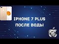 iphone 7 Plusпосле воды и неудачного ремонта