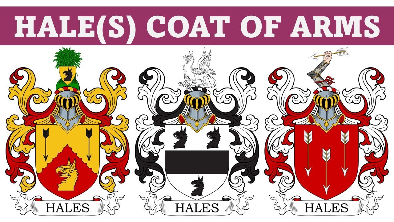 Hale Coat Of Arms Family Crest Symbols Bearers History YouTube Hale Coat Of Arms Family Crest Symbols Bearers History YouTube