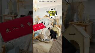 #搞笑 #沙雕 #剧情 #沙雕剧情 #funny #fun
