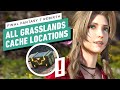 FF7 Rebirth: All Grasslands Treasure Cache Locations