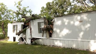Tree crushes mobile home in Theodore