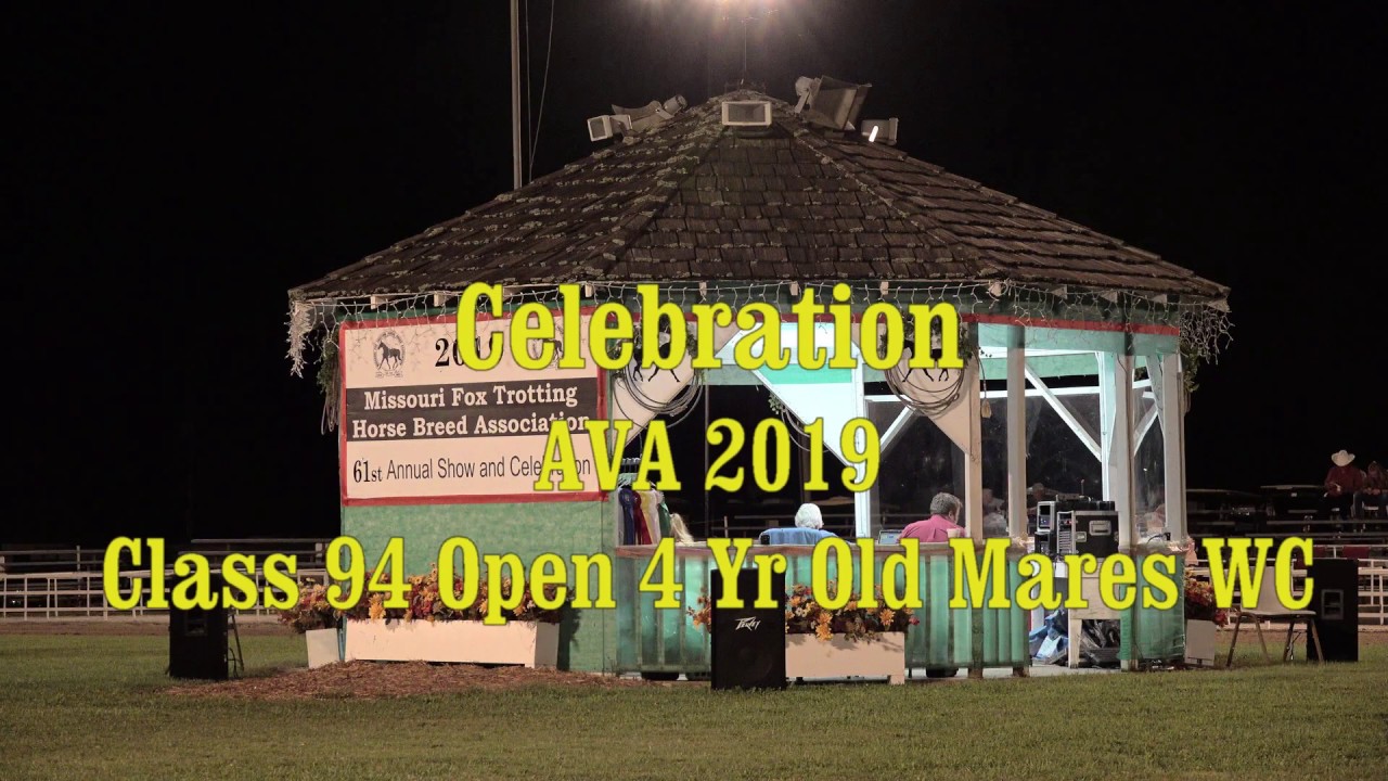 Celebration 2019 Ava, Missouri Foxtrotter 4Yr. Open Mares WC YouTube