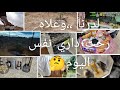 جات عندى ضيفه عزيزة❤️🤔عرفتوها ولا لا داتنى وديتها🥹🦸&zwj;♂️لدارى