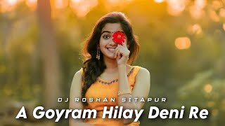 Dj Roshan Sitapur - A Goyram Hilay Deni Re New Nagpuri Tranding Song 2024