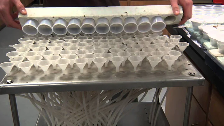 Soil Testing: Laboratory Process