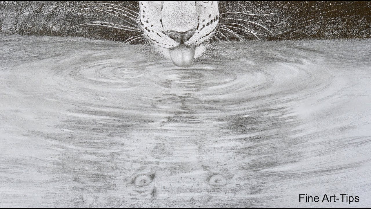 How to Draw a Reflection  on Water  A Leopard Drinking 