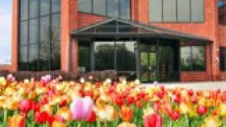 Analog Devices (es) | Wikipedia audio article