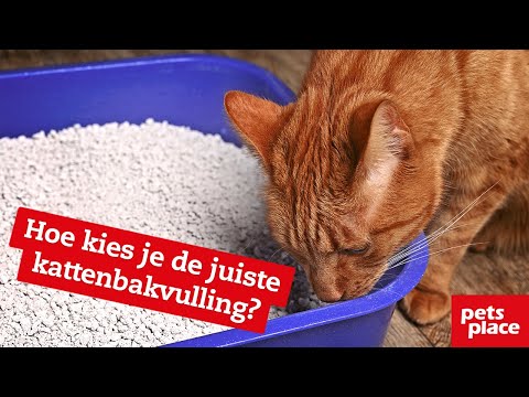 Video: Hoe Kies Je Kattenbakvulling Voor Een Kattenbak?