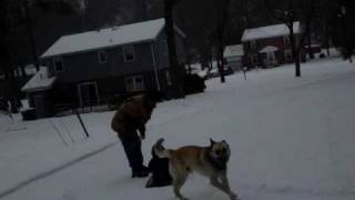 (De Niltepec)los perez de Norte Carolina(La nevada)