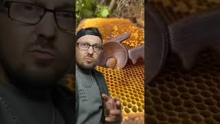 2 buttons clicked #shorts #comedy