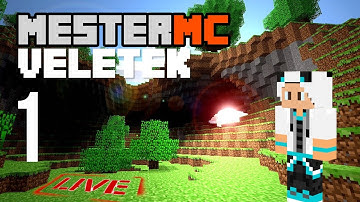 Egy Új Fejezet! 🐼 MesterMC VELETEK, PANDÁKKAL 1. rész