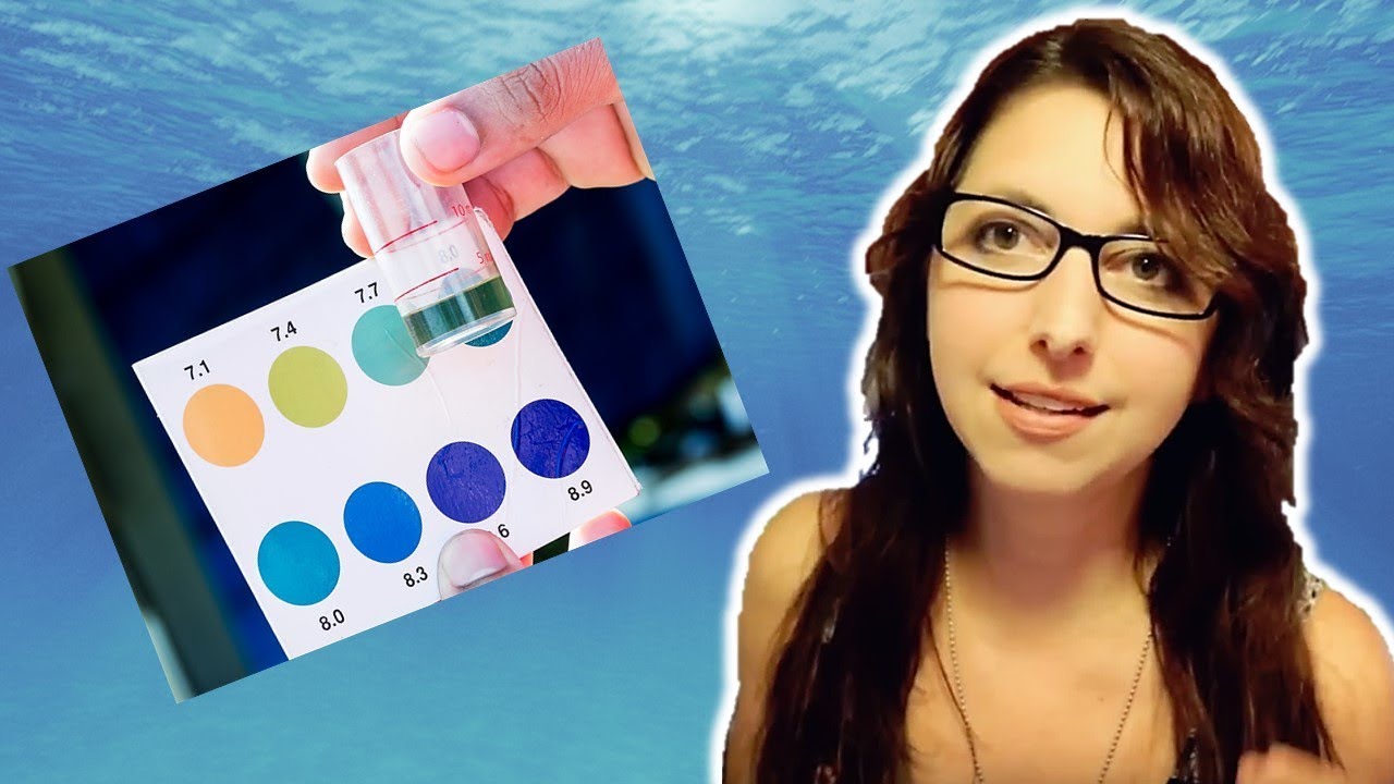 The Importance Of Water Testing | Why We Need To Test Our Aquariums ... - Aquarium Water Testing Importances For Aquarists