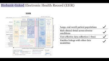 Ruowang Li, PhD: “Genomic Discovery and Predictive Modeling with Biobank-Linked EHR Data”