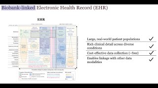 Famous Ruowang Li, PhD: “Genomic Discovery and Predictive Modeling with Biobank-Linked EHR Data” Net Worth