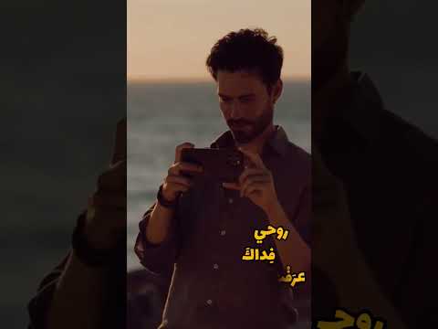مصطفى الربيعي قلبي يحدثني