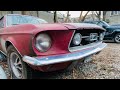 Брошенный 1967 Ford Mustang 11 лет в мусоре // Канада ни кто не тронул ( Форд Мустанг )