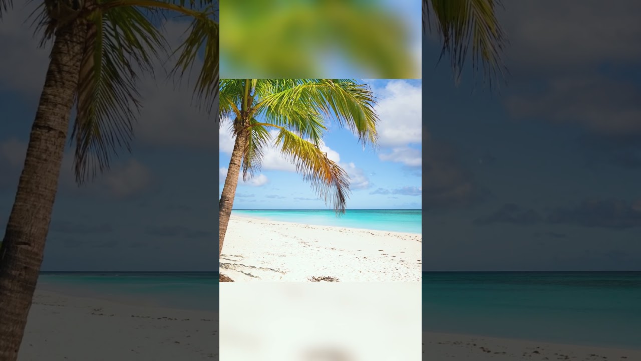 Escape to Paradise🌴Tropical Beaches & Latin Rhythms Vibes! 